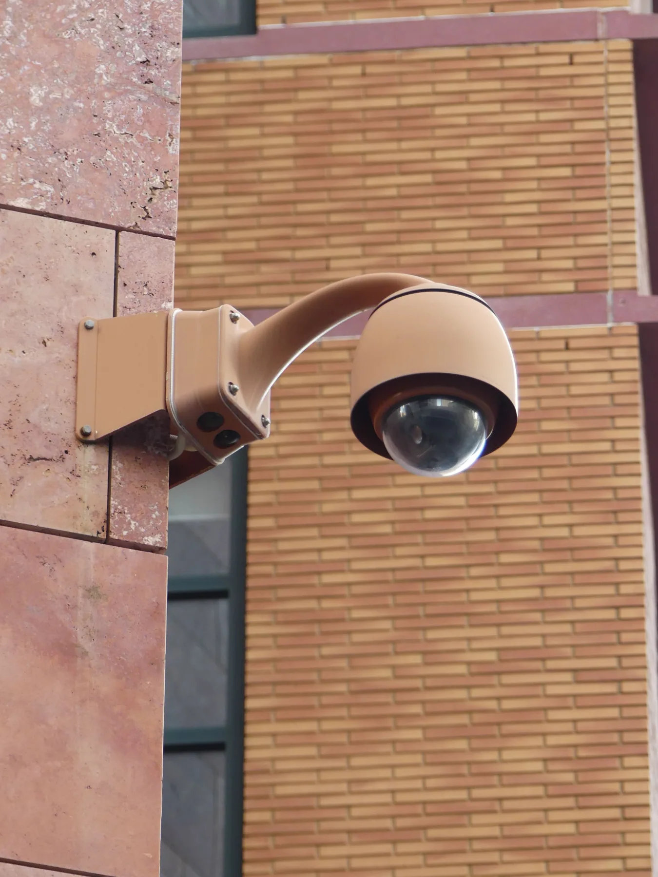 Telecamera di sorveglianza